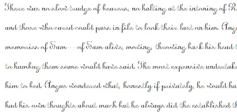 Real Image Type 1 text sample